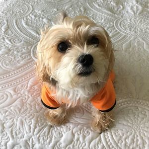 Meet your Posher, Roseann